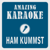 Ham kummst (Karaoke Version) [Originally Performed By Seiler und Speer] - Clara Oaks