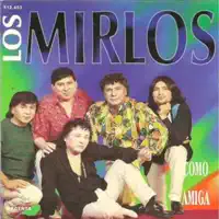 Eres Mentirosa — Los Mirlos