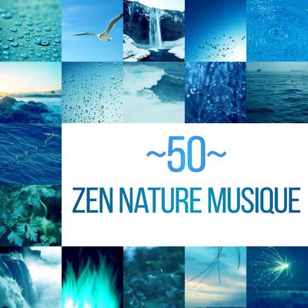 50 Zen nature musique
