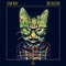 Die Katzen (MiddleSkyBoom Remix) - Ujin Ray lyrics