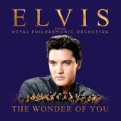 The Wonder of You: Elvis with the Royal Philharmonic Orchestra artwork
