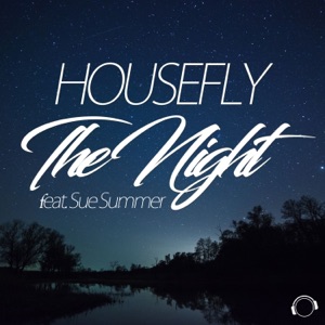 The Night (feat. Sue Summer) [Remixes]