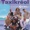 Taxikreol - Mandolin