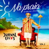 Porto Seguro (Ao Vivo) song art