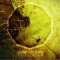 Flechette - Lament Cityscape & Theologian lyrics