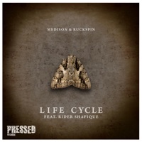 Life Cycle (feat. Rider Shafique) - Single - Medison & Ruckspin