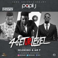 4get Your Level (feat. Selebobo & Mr. P) - Single - Papii J