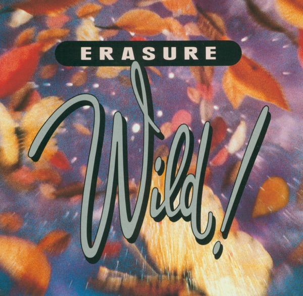 Wild! - Erasure