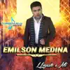 Llegaste a Mi