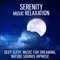 Serenity Music Relaxation - Namaste Healing Yoga lyrics