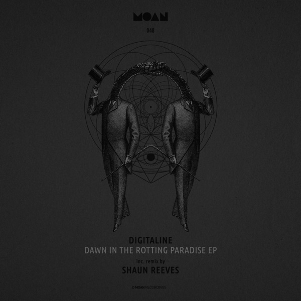 Dawn In the Rotting Paradise - Single