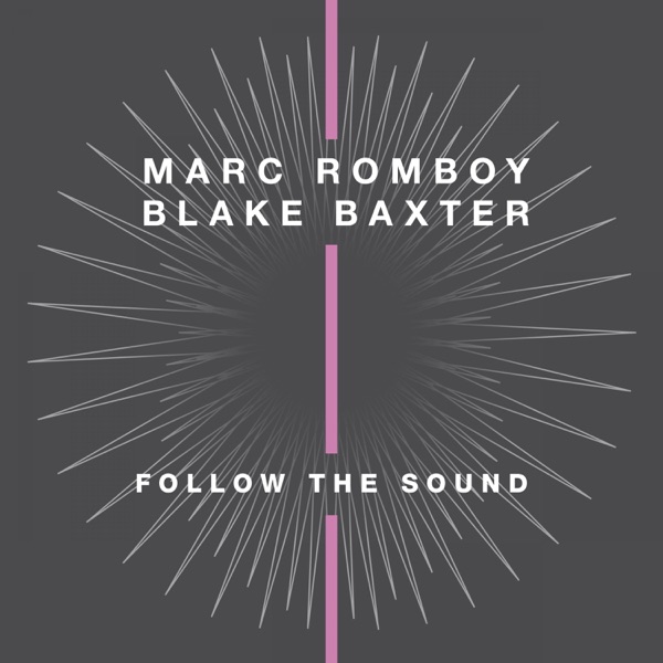 Follow the Sound - Single