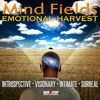 Warner/Chappell Productions - Full of Warmth