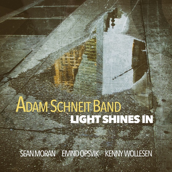 Light Shines In (feat. Sean Moran, Eivind Opsvik & Kenny Wollesen)