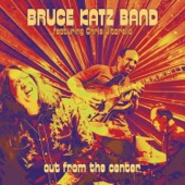 Bruce Katz Band - Blues from High Point Mountain (feat. Chris Vitarello)