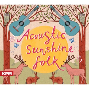 Acoustic Sunshine Folk
