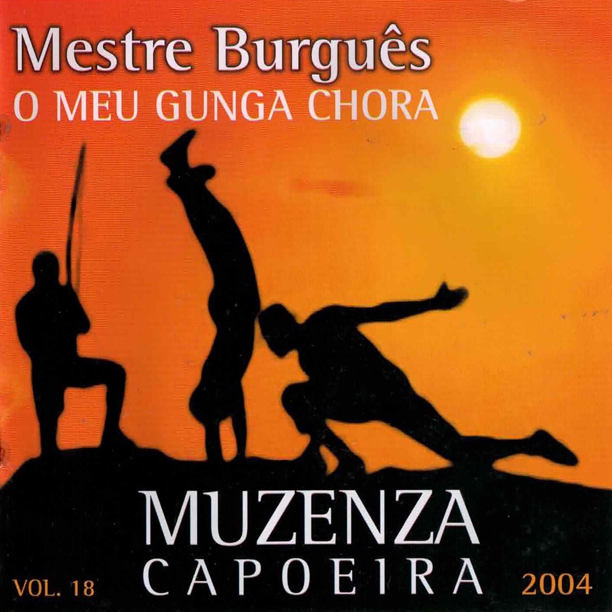 Você não sabe o valor que a Capoeira tem - Musica do Grupo Muzenza