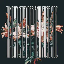Imperfection - Single (feat. Fuse ODG) - Single - Tinchy Stryder Imperfection - Single (feat. Fuse ODG) - Single - Tinchy Stryder