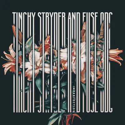 Imperfection - Single (feat. Fuse ODG) - Single - Tinchy Stryder