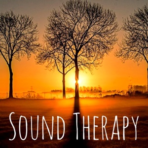 Sound Therapy - Smart Baby Lullaby Healing Massage Calming Music Academy with Soothing Sleeping Meditative Sounds