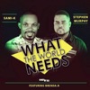 What the World Needs (feat. Brenda N) - Single