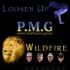 Wildfire