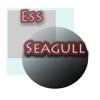 Seagull - Single