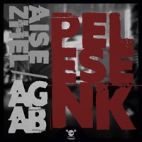 Pelesenk (feat. Aga B) - Single - Ezhel
