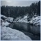 Lone Wolf - Kolton Moore & the Clever Few lyrics