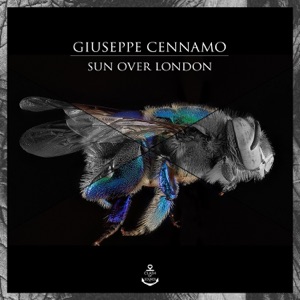 Sun Over London - Single