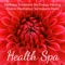 Pure Massage Music - John Spa Williams lyrics