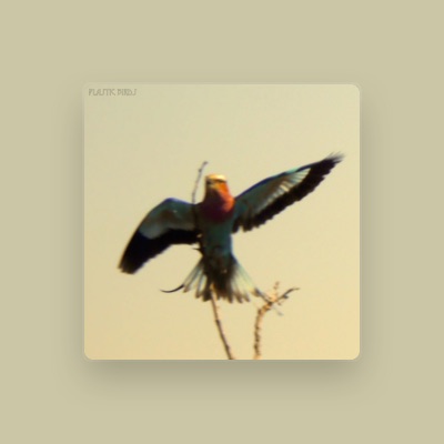 Ouve Plastic Birds, vê vídeos de música, lê a biografia, vê as datas da digressão e muito mais!