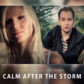 Calm After the Storm (feat. Wendy van Maren) artwork