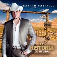 La Historia de Mi Vida - Martín Castillo