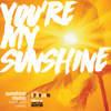 You're My Sunshine (feat. Sunny Kaushal & Ashrut Jain) - Vivek Hariharan