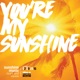 You re My Sunshine feat Sunny Kaushal Ashrut Jain Single