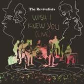 The Revivalists - Wish I Knew You
