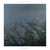 Wanderer (Deluxe Edition) - Ilya Beshevli