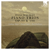 Piano Trio in E-Flat Major, D. 929, Op. 100: II. Andante con moto
