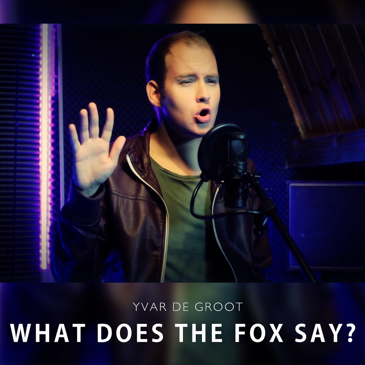 Pochette du titre What Does the Fox Say?
