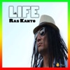 Life cover art