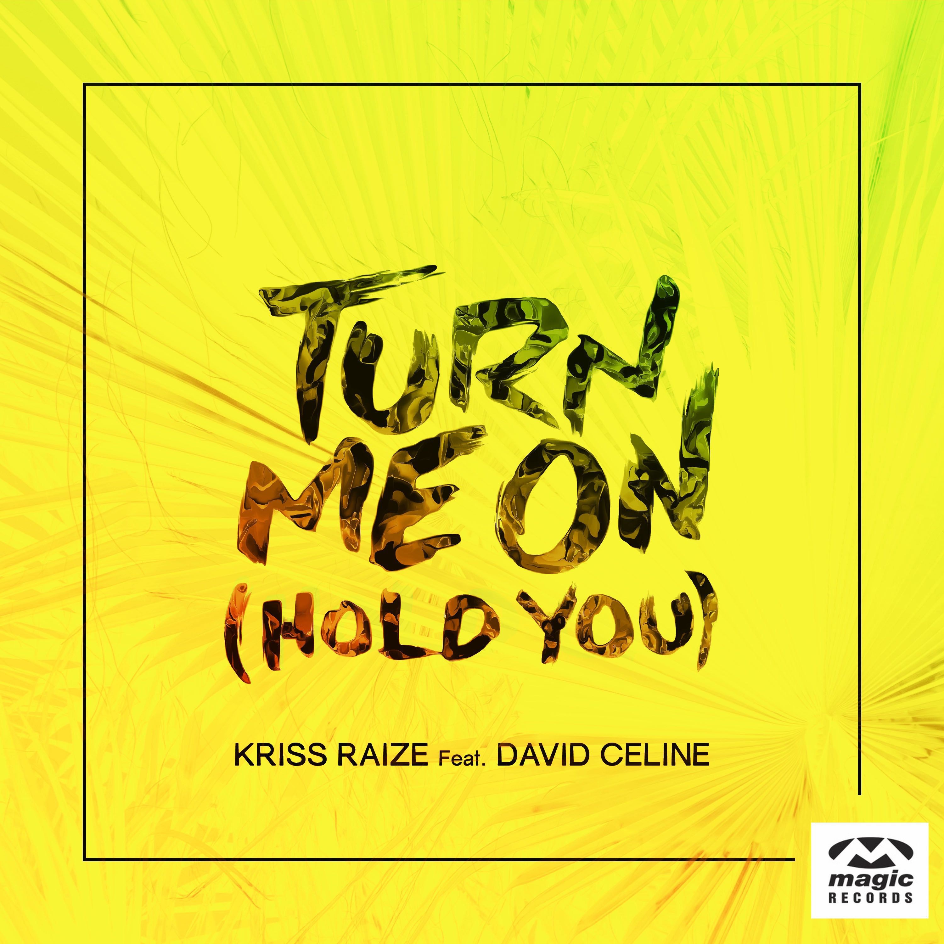 Turn Me On (Hold You) [feat. David Celine] [Remixes] - EP