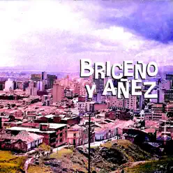 Briceño y Añez - Jorge Añez