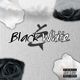 Terror Nights (feat. Enigma & the Prophet) Kritical