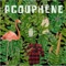 Le dalot - Acouphene lyrics