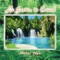 Fleur d'amour - Michel Pépé lyrics