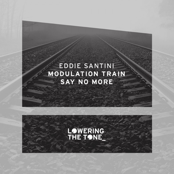 Modulation Train & Say No More - Single