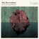 Wish I Knew You - The Revivalists