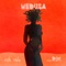 Medusa (feat. ROMderful.) - Rich Iyala lyrics