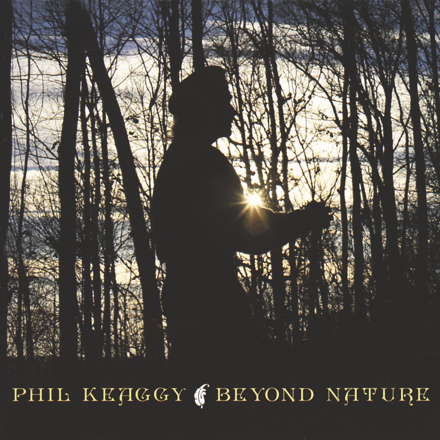 Beyond Nature by Phil Keaggy